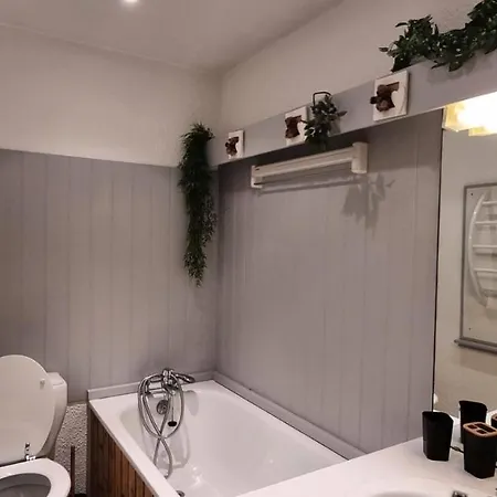 アパート Zodiac - De 26m² Au Pied Des Pistes Mae-3354